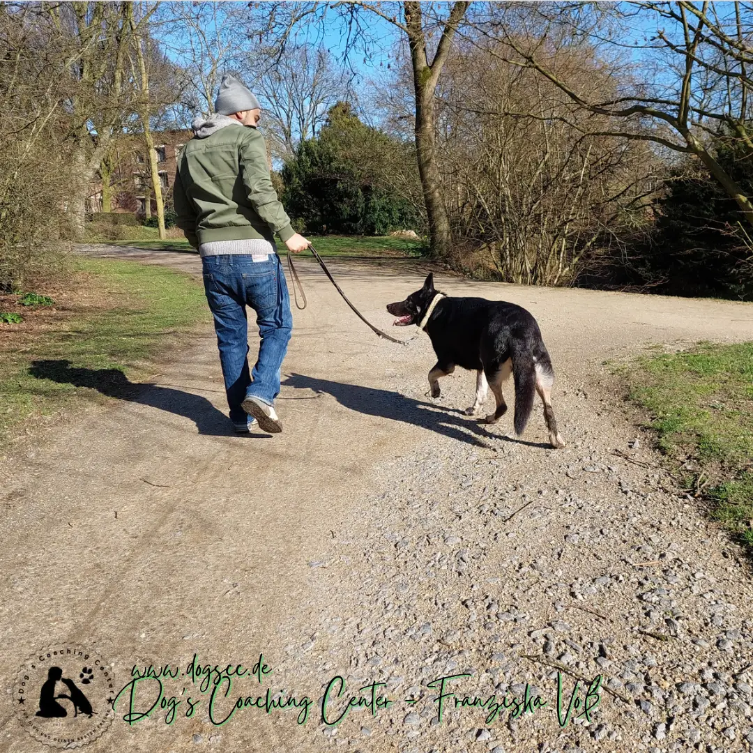 Hundeausbildung - Dog-Life-Balance - Expertenkurs Hundeausbildung - Dog-Life-Balance - Expertenkurs