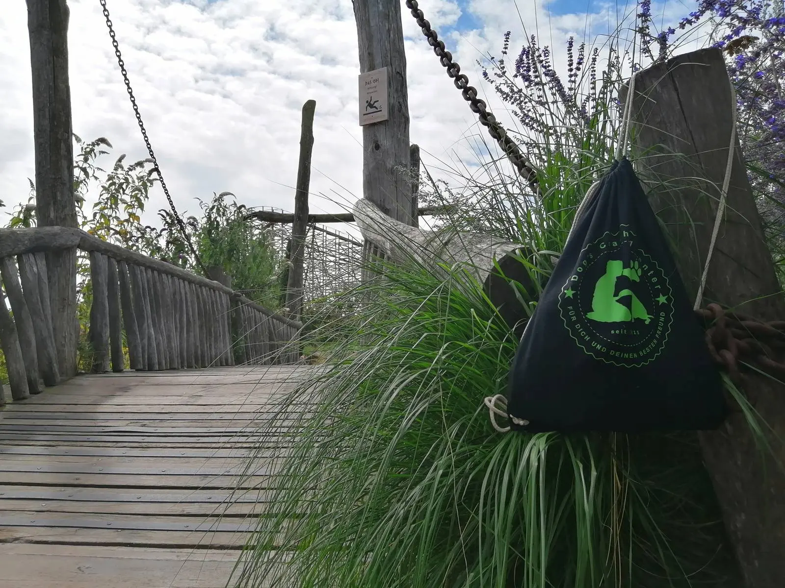 Hundeausbildung - Life Coaching