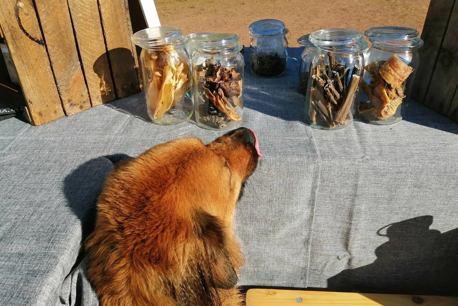 Ernährungsberatung - mehrere Gläser mit gesunden Leckerli