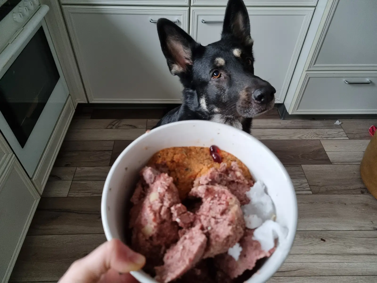 Ich bin gegen BARF…