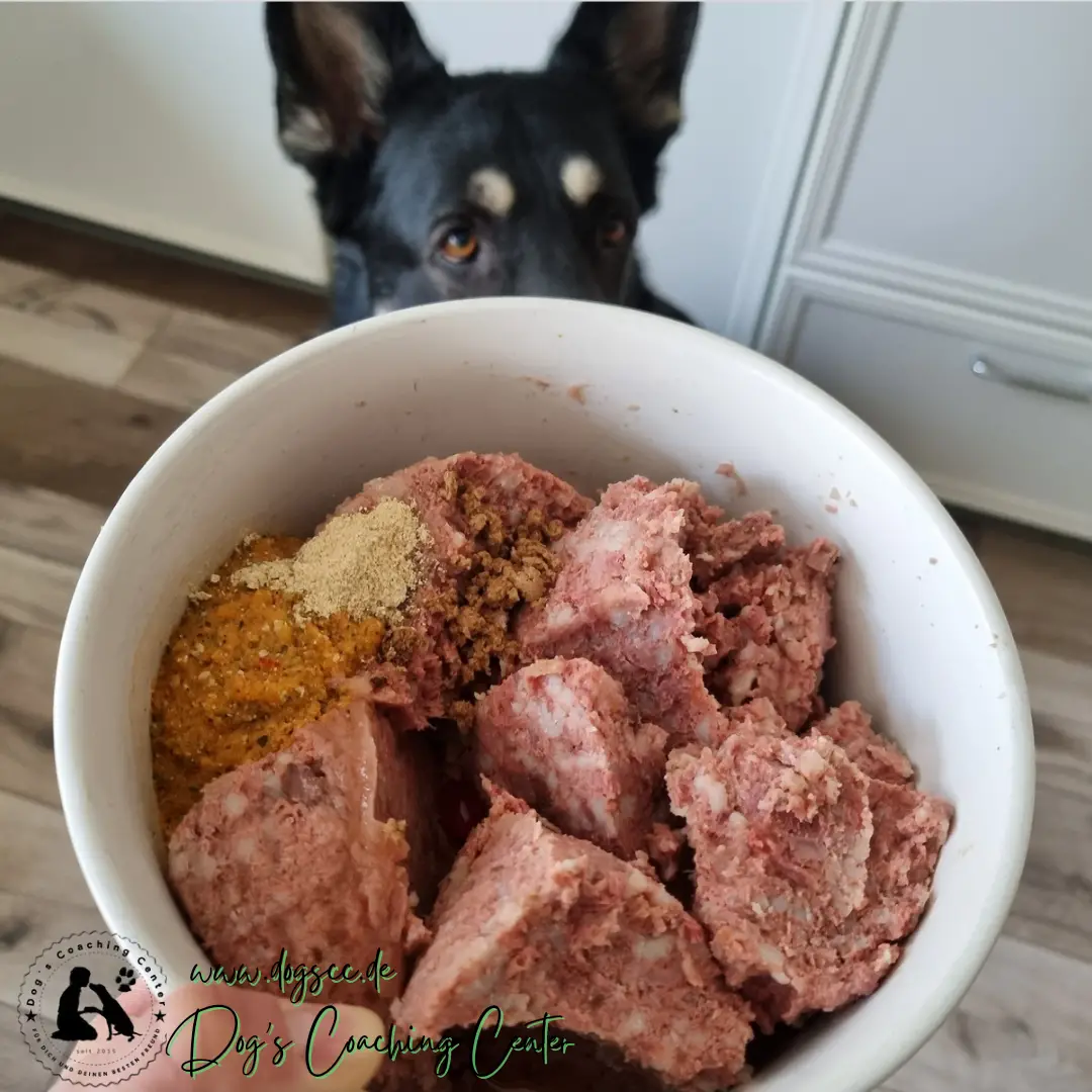 Aufklärung im Futterdschungel – Trockenfutter