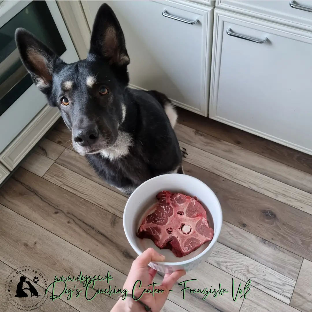 Knochenfütterung ist ein WICHTIGES Thema!