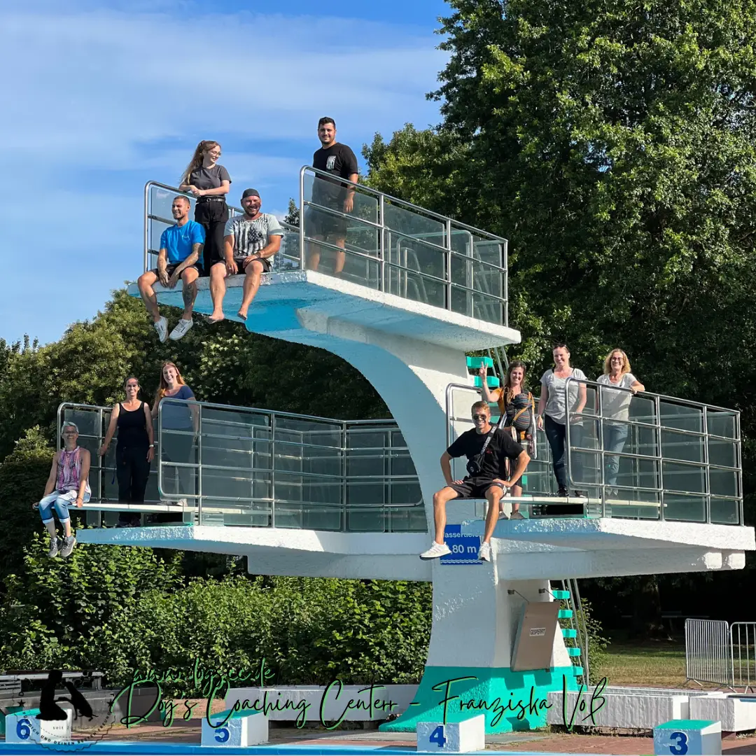 28.11.2022: Hundeschwimmen in Rheinberg