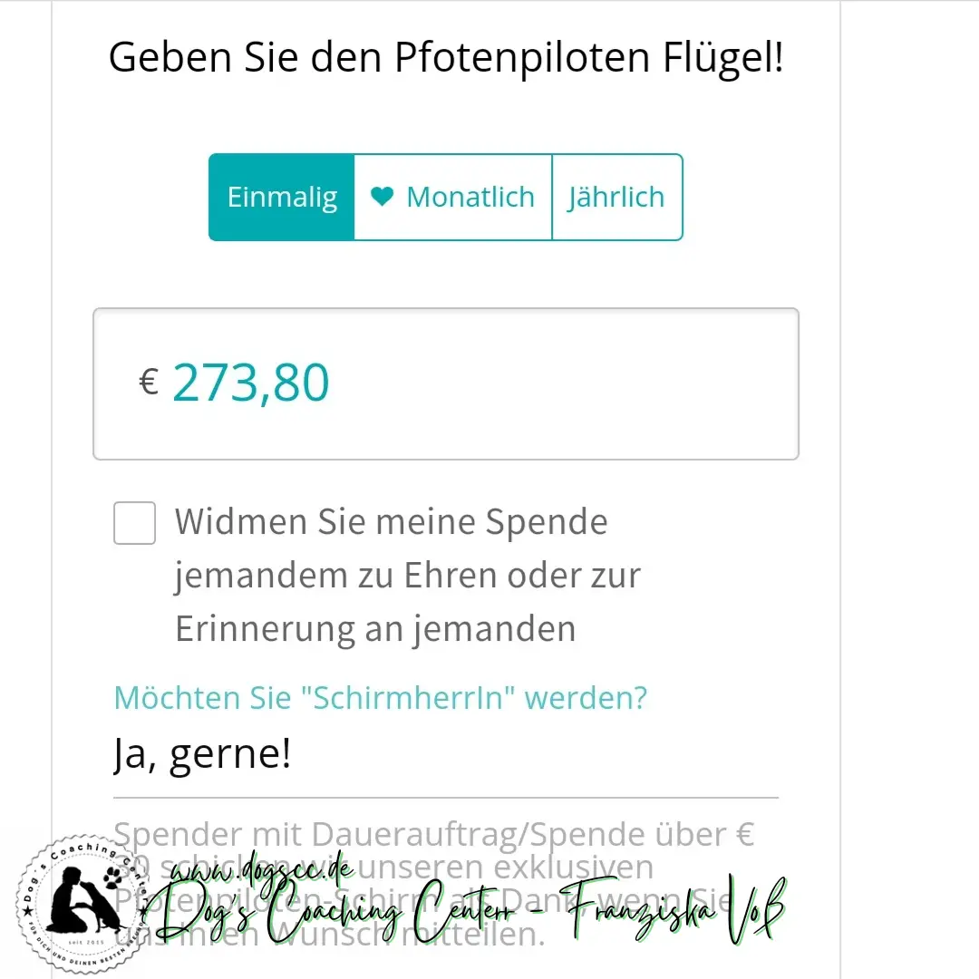 28.11.2022: Hundeschwimmen in Rheinberg