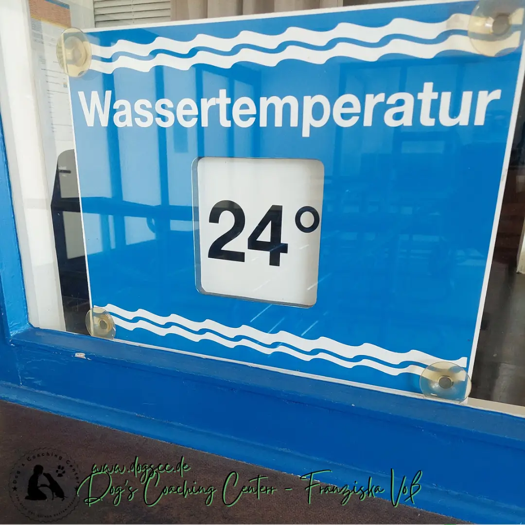28.11.2022: Hundeschwimmen in Rheinberg