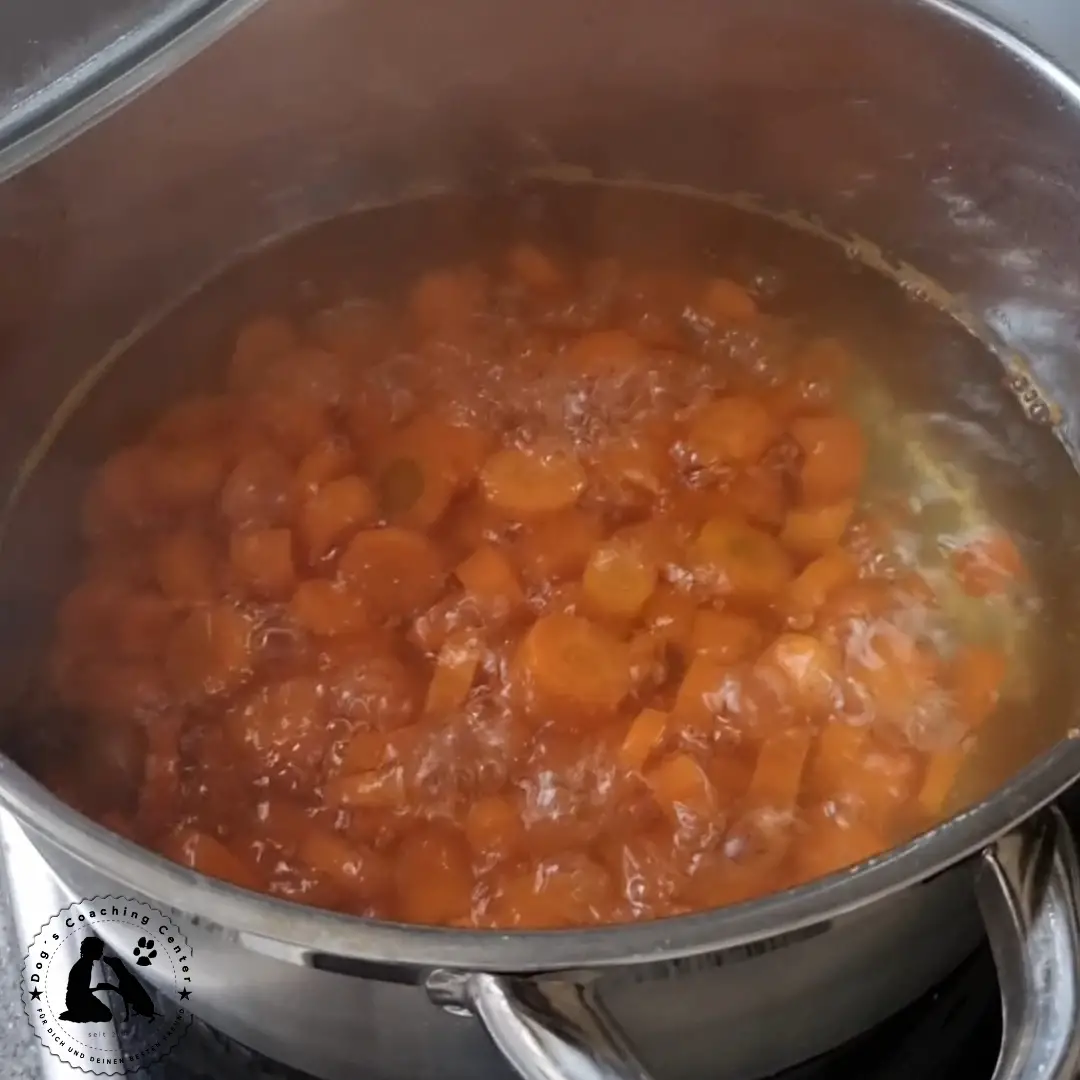 Ansicht in den Kochtopf mit kleingeschnittenen Möhrenstücken in kochenden Wasser