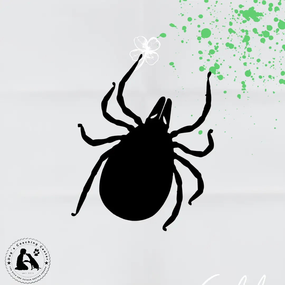 Achtung, Zeckenzeit!!!