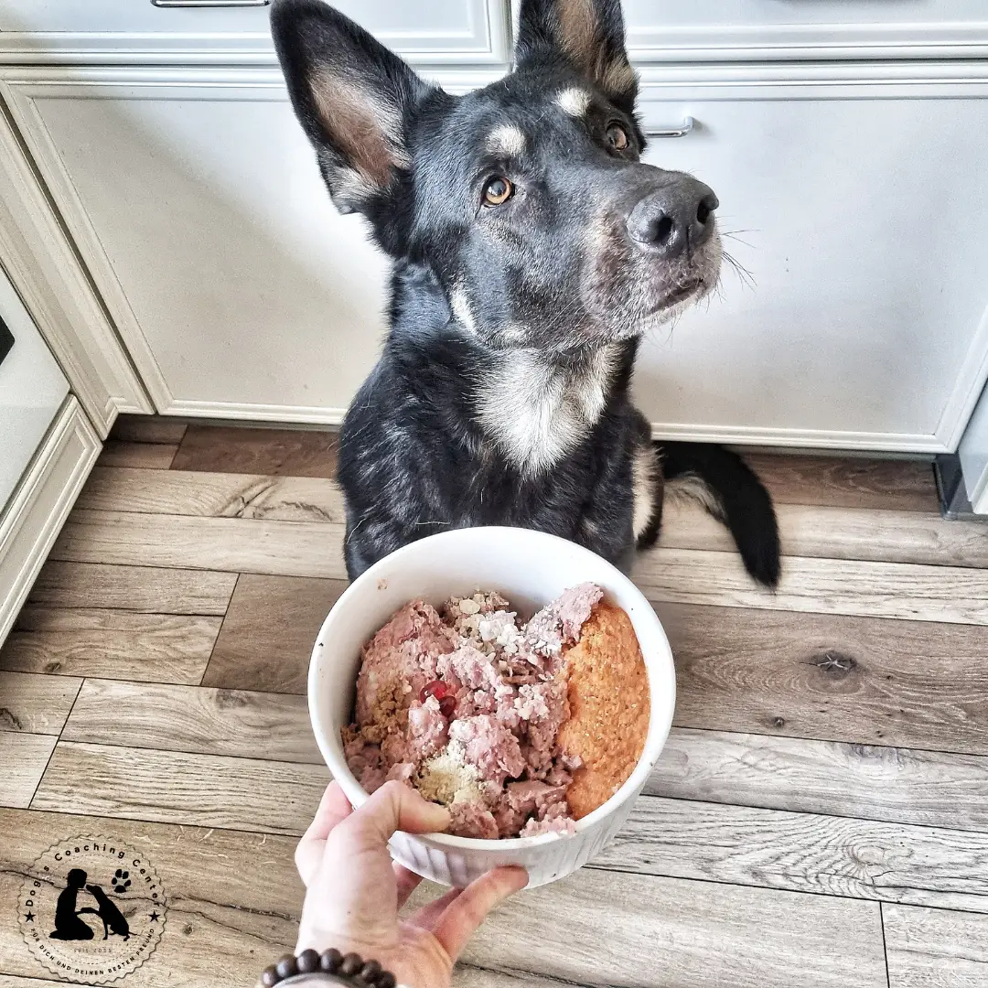 Aufklärung im Futterdschungel – Die Deklaration