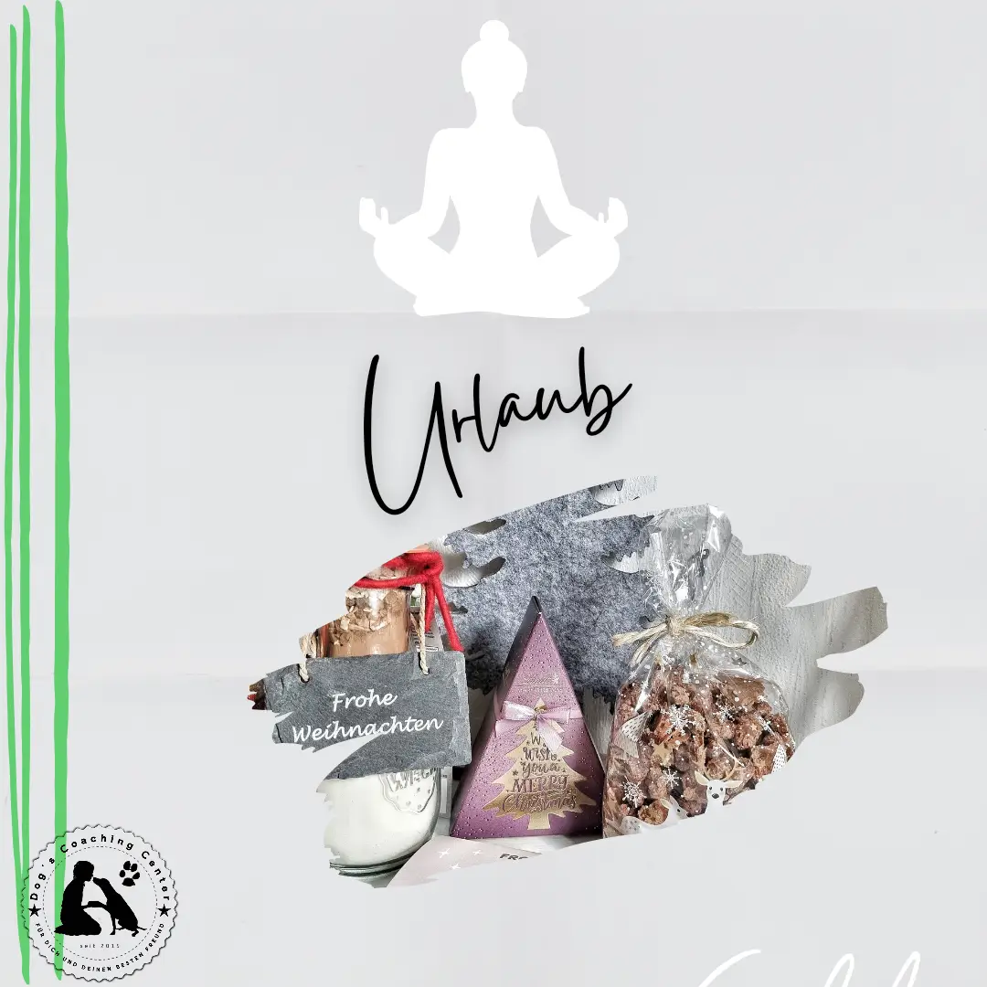 Das Jahr neigt sich dem Ende und ich mache eine Pause!