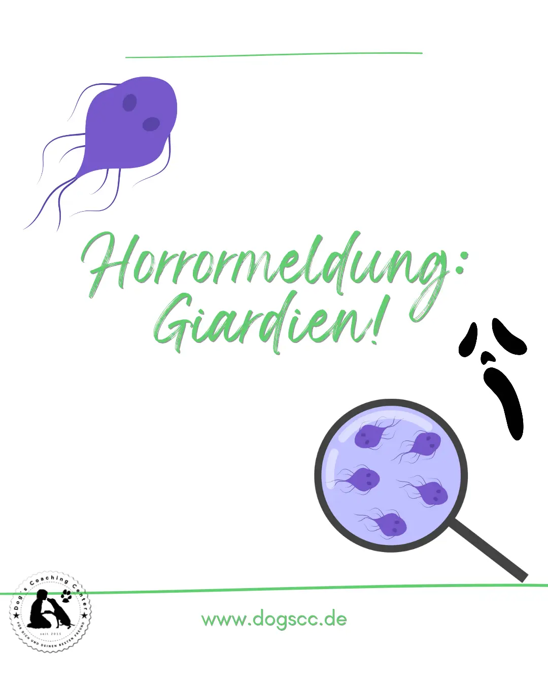 Horrormeldung: Giardien!