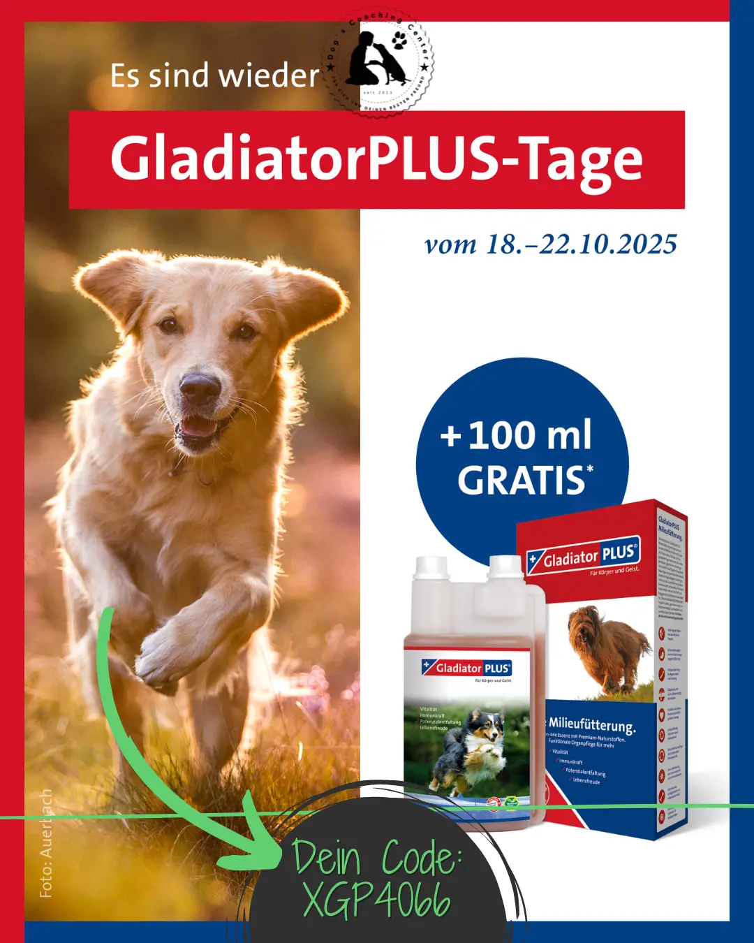 Gesundheit in einem Schluck 