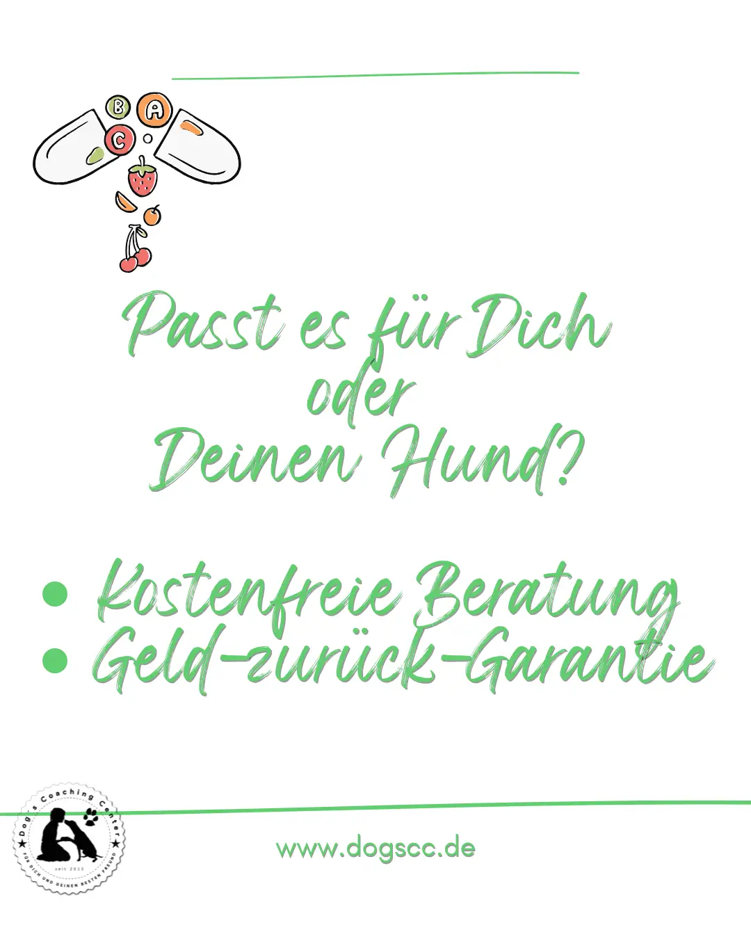 weißer hintergrund, im Grün der Website oben Links angedeutete Früchte/Vitamine, darunter Text Passt es für Dich? - Kostenfreie Beratung, Geld-zurück-Garantie, untenlinks das DCC-Logo und die Website-Adresse